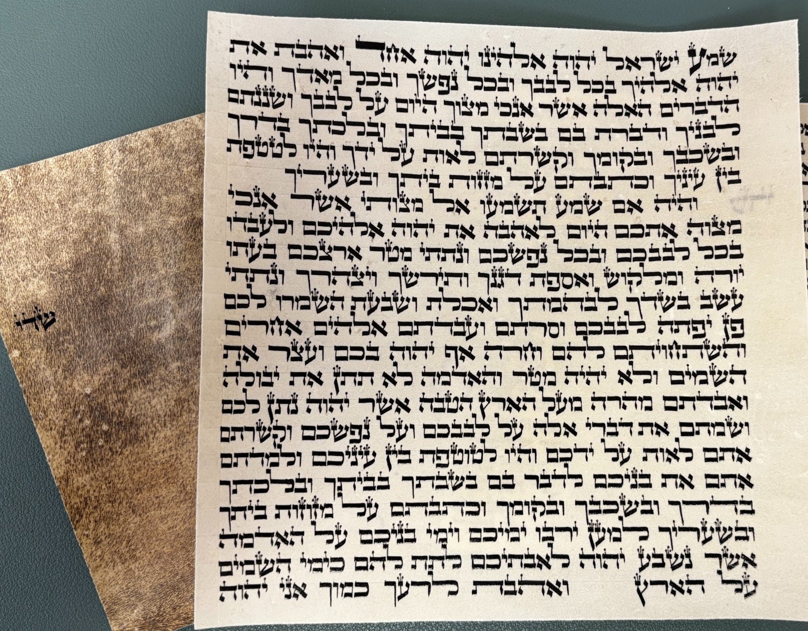 Mezuzah scroll with Hebrew text